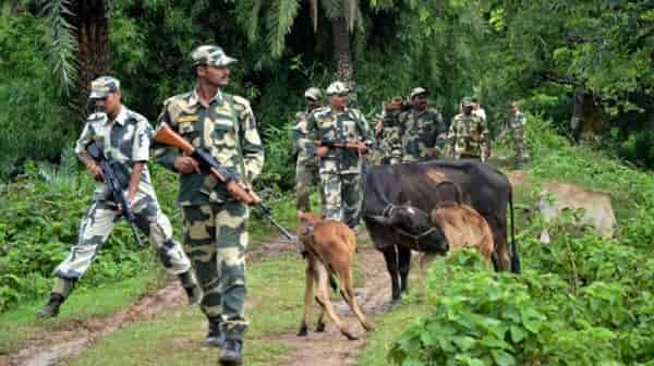 BSF-Beat-up-Trinamul-Activists-in-Gaighata BSF Beat up Trinamul Activists in Gaighata