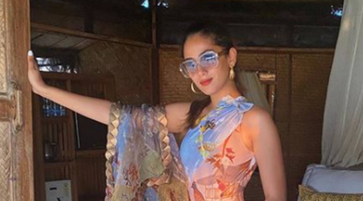 Mira-Kapoor-looks-stunning-in-this-printed-swimsuit-see-pic.jpg Mira Kapoor looks Gorgeous in this printed swimsuit