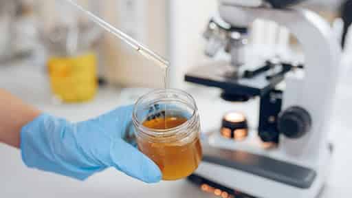 center-will-establish-105-honey-testing-laboratories Center will establish 105 honey testing laboratories