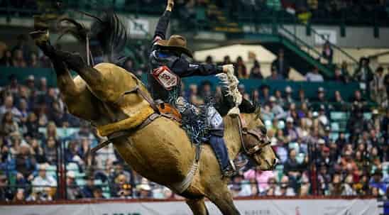 the-championship-is-buckled-into-play-at-sdra-finals-rodeo The championship is buckled into play at SDRA Finals Rodeo