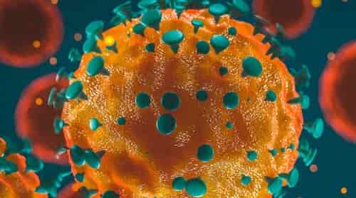 coronavirus-live-updates-over-3-43-million-covid-cases-in-india-so-far-4-61-lakh-deaths Coronavirus LIVE updates: Over 3.43 million Covid cases in India so far
