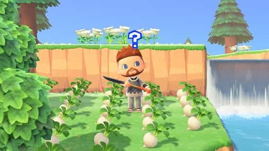 plant-turnips-new-horizons-for-animal-crossing Plant Turnips New Horizons for Animal Crossing