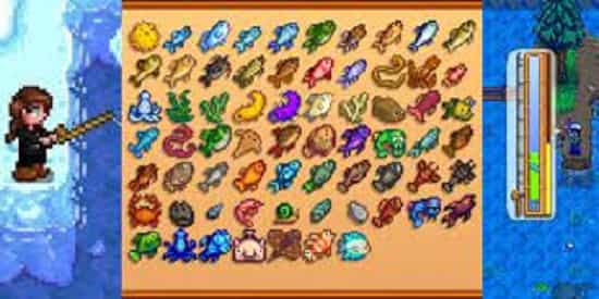 fish-in-stardew-valley Fish in Stardew Valley