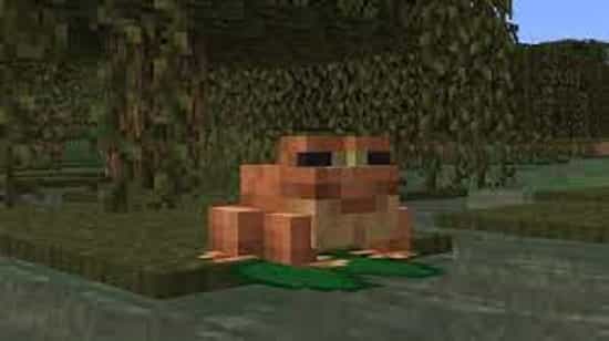 what-frogs-consume-in-minecraft What Frogs Consume in Minecraft