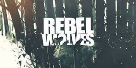 former-cd-projekt-red-employees-have-formed-rebel-wolves Former CD Projekt RED employees have formed Rebel Wolves
