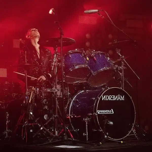 Career & Måneskin Band