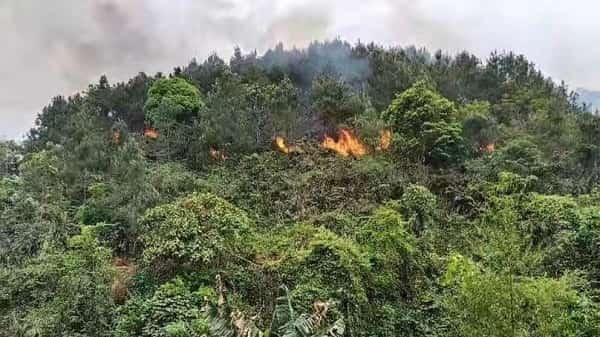 airplane-crash-in-china-kills-132-on-board Airplane Crash in China kills 132 on board