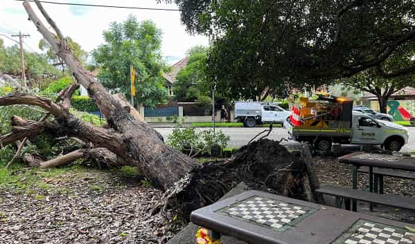 australia-is-going-to-make-the-east-coast-floods-a-national-emergency Australia is going to make the east coast floods a national emergency