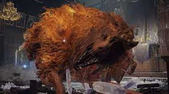 beat-red-wolf-of-radon-in-elden-ring Beat Red Wolf Of Radon in Elden Ring