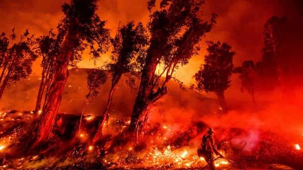 texas-wildfires-ruin-86-homes-and-small-towns Texas wildfires ruin 86 homes and small towns