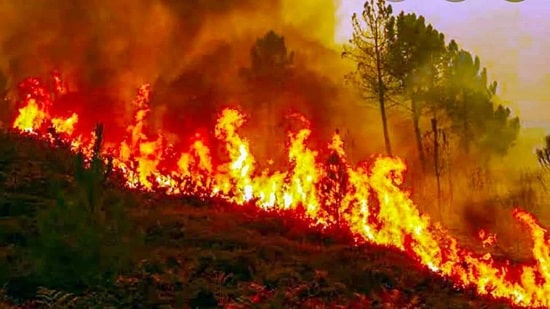 forest-min Forest fire in Uttarakhand