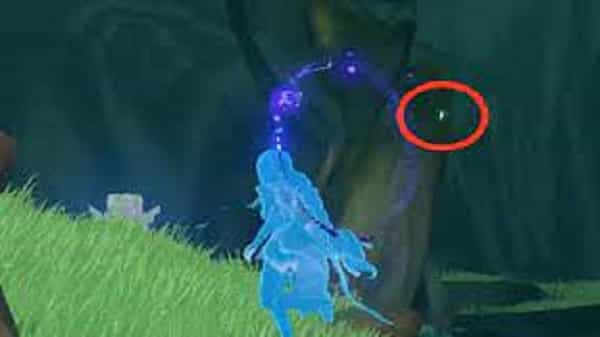 shriveled-seed-genshins-impact-point Shriveled Seed Genshin's Impact Point