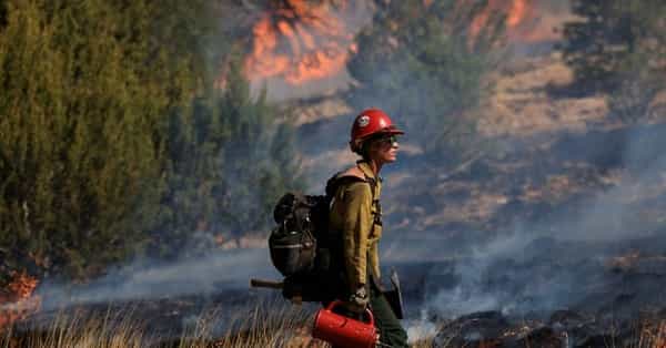 new-mexico-wildfire-can-brings-heavy-winds-over-the-weekend New Mexico wildfire can brings Heavy winds over the weekend