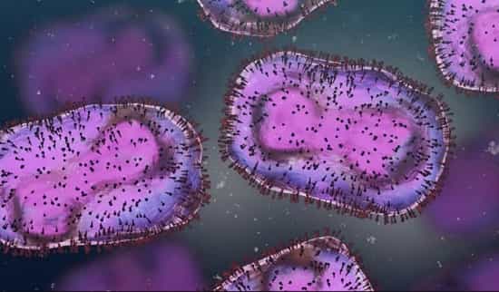 uk-issues-guidelines-to-control-the-monkeypox-virus-from-spreading UK issues guidelines to control the monkeypox virus from spreading