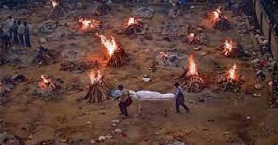 who-death-estimate-for-india-preposterous-untenable-covid-panel-chief WHO Death Estimate For India "Preposterous, Untenable": Covid Panel Chief