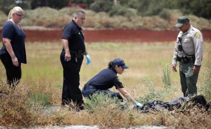 1 Woman and 2 dogs died from Lightning strike in Southern California