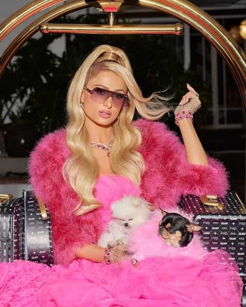 Paris Hilton Net Worth