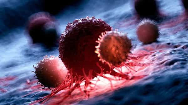 a-us-drug-trial-on-cancer-patients-cured-all-and-vanished-their-tumors A US drug trial on cancer patients cured all and vanished their tumors