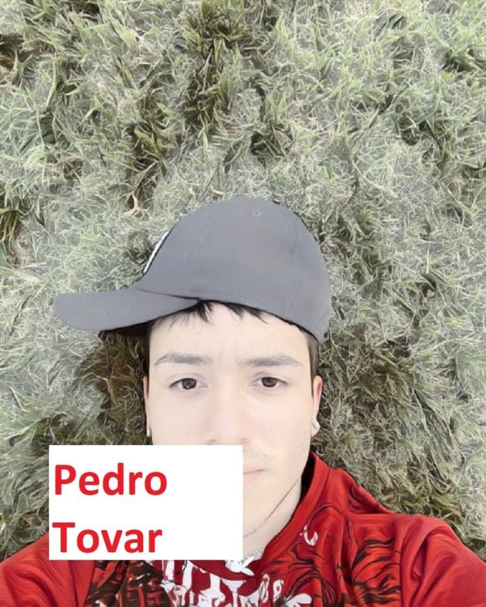 pedro-tovar Pedro Tovar