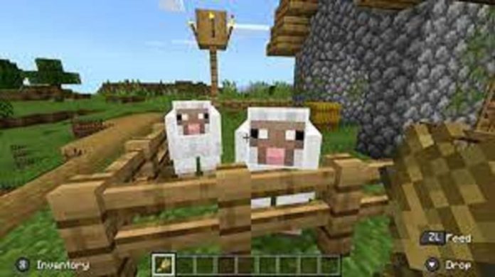 sheep-eat-in-minecraft Sheep eat In Minecraft