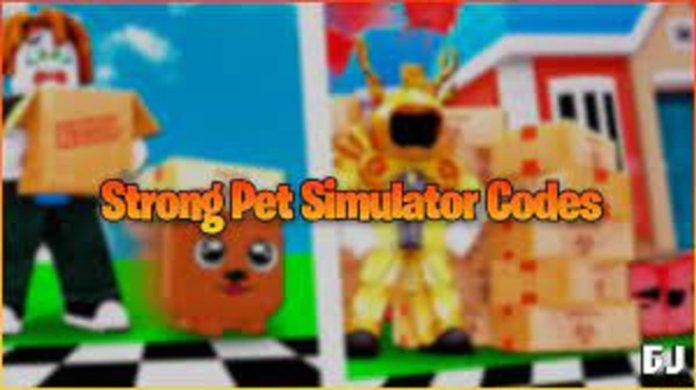 Codes for Strong Simulator X