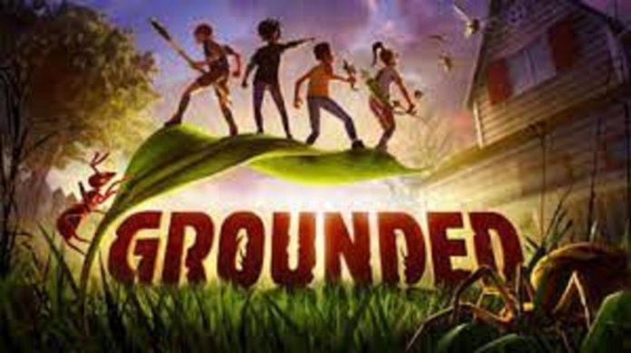 Grounded launches in September