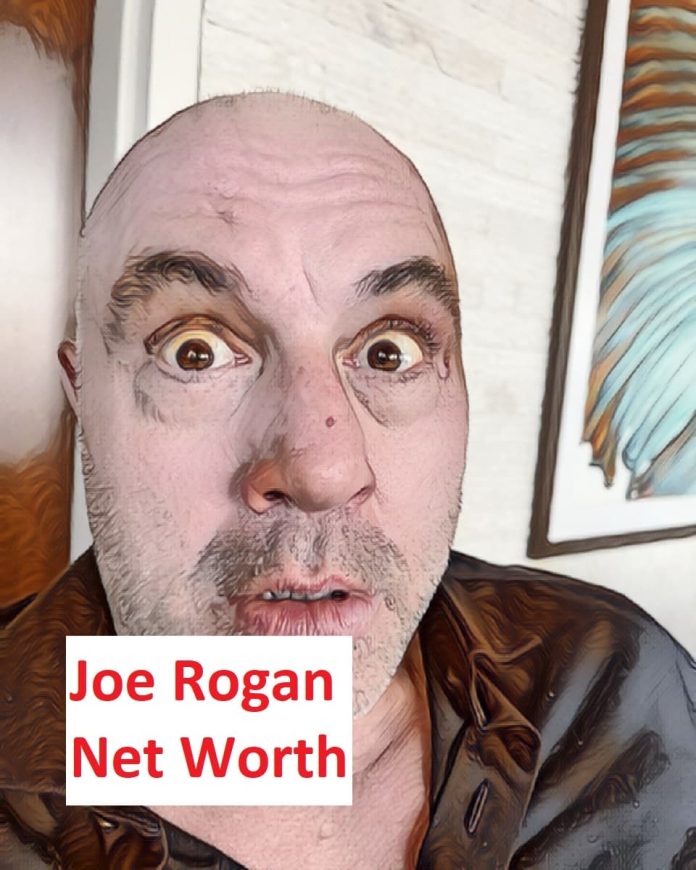 Joe Rogan Net Worth