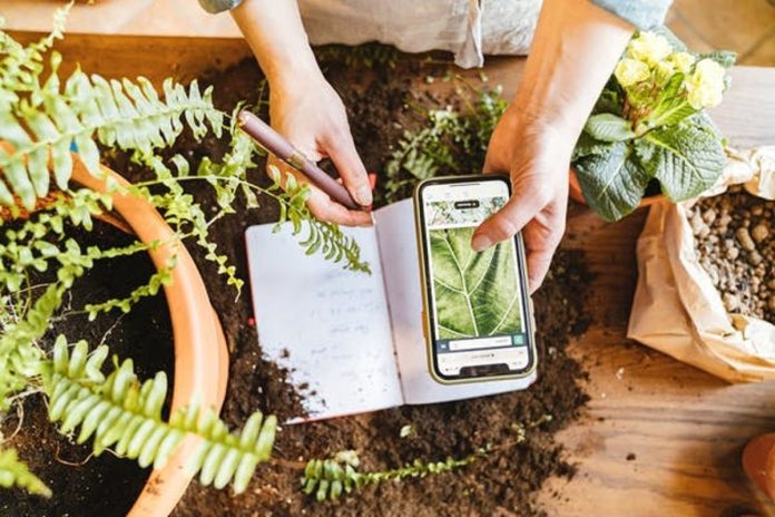 guide-to-gardening-with-a-smartp Guide to Gardening with a Smartphone