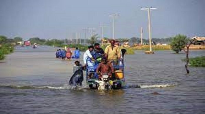 nearly-1500-people-have-died-bec Nearly 1500 people have died because of Pakistan's terrible floods